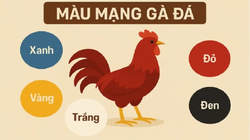 Hướng dẫn xem màu mạng đá gà