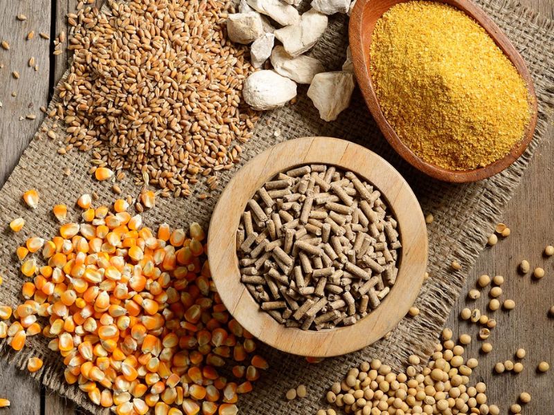 3 điều mà người chơi cần lưu ý khi trộn ngũ cốc