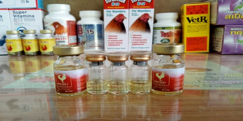 Bổ sung thuốc để quá trình phục hồi và điều trị cho gà đá nhanh chóng